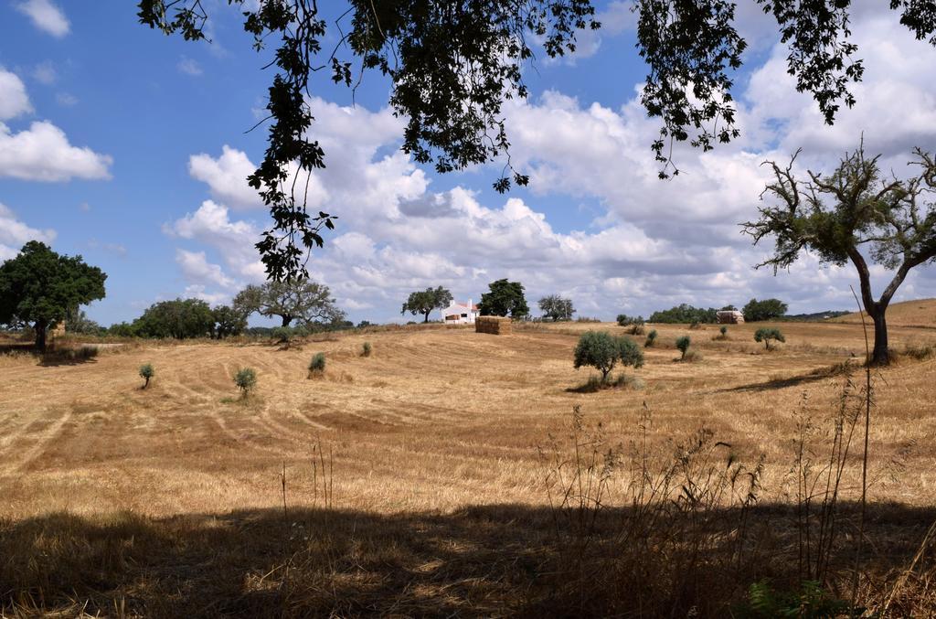 Sernadinha Aldeia do Cano Εξωτερικό φωτογραφία