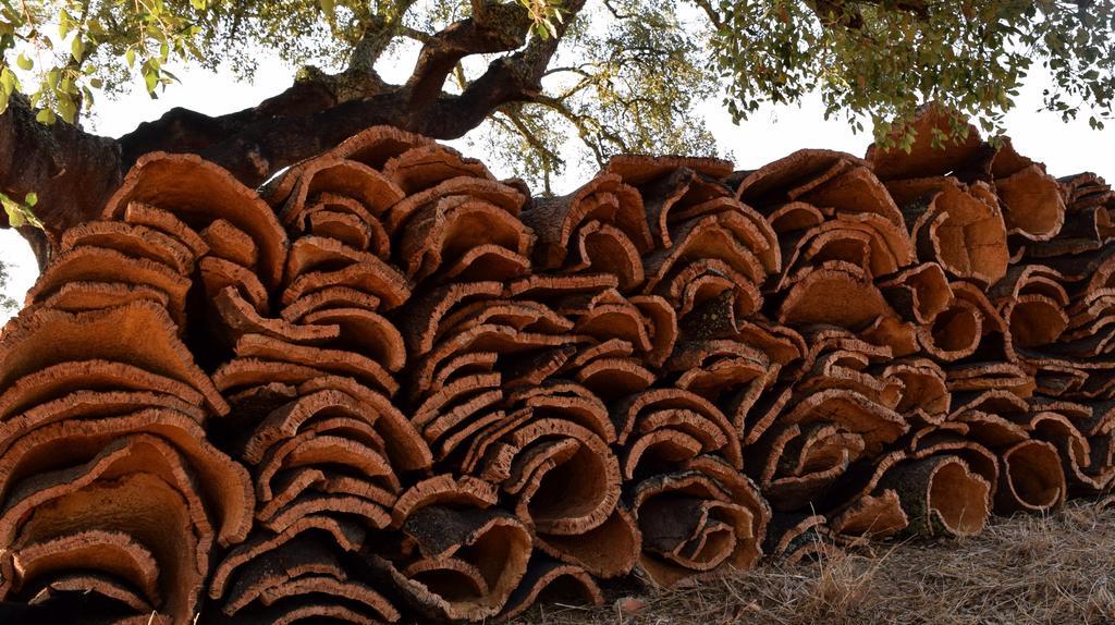 Sernadinha Aldeia do Cano Εξωτερικό φωτογραφία
