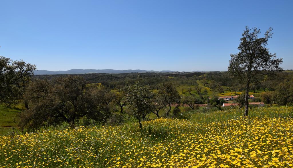 Sernadinha Aldeia do Cano Εξωτερικό φωτογραφία