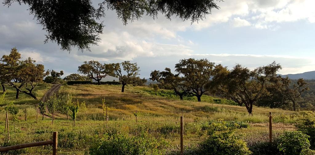 Sernadinha Aldeia do Cano Εξωτερικό φωτογραφία